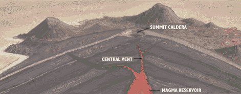 A shield volcano, as you can see in this picture, resembles the front of a SHIELD. http://pubs.usgs.gov/gip/volc/types.html