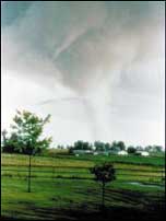 strong tornadoe