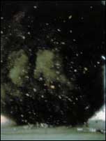 devistating tornadoe
